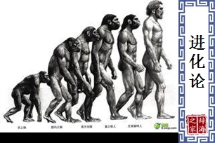 进化论