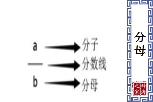 分母