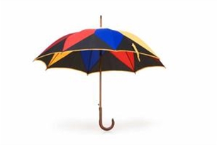 雨伞的意思、造句、近义词