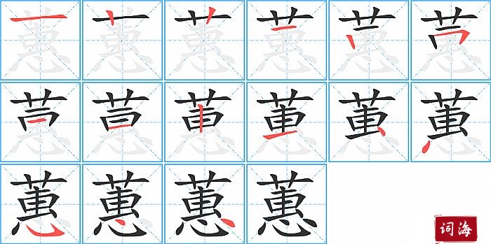 蕙字怎么写图解