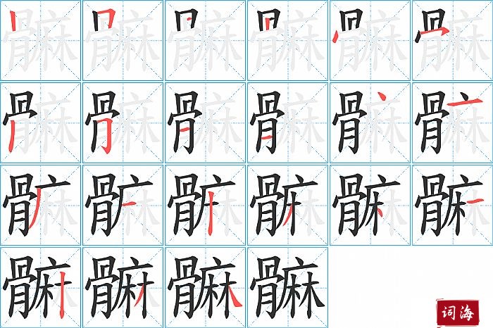 髍字怎么写图解