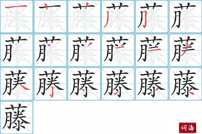 藤字怎么写图解