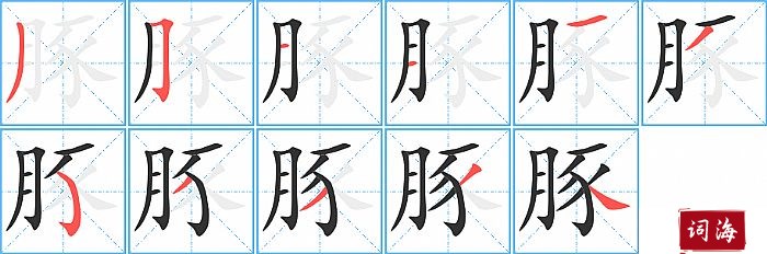 豚字怎么写图解